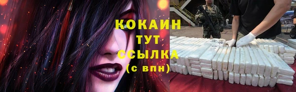 скорость Липки