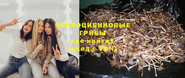 соль ск Аркадак