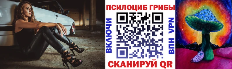 Псилоцибиновые грибы Psilocybine cubensis  Новомосковск 