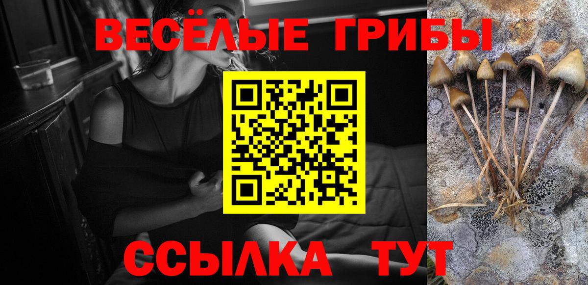 Новомосковск  Псилоцибиновые грибы MAGIC MUSHROOMS  Вход с VPN 