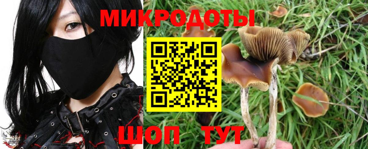 Галлюциногенные грибы GOLDEN TEACHER Новомосковск