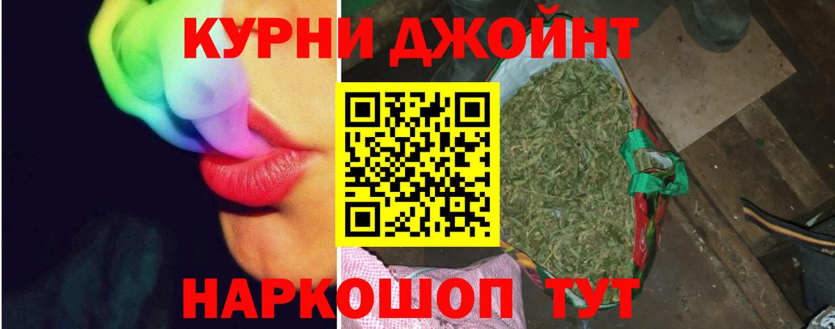 Каннабис Bruce Banner  Каннабис планчик  Канабис ГИДРОПОН  Вход с VPN  Новомосковск 
